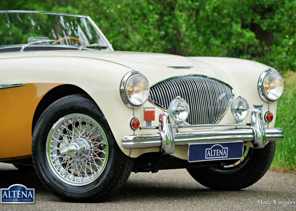 Image 17/50 of Austin-Healey 100&#x2F;4 (BN1) (1955)