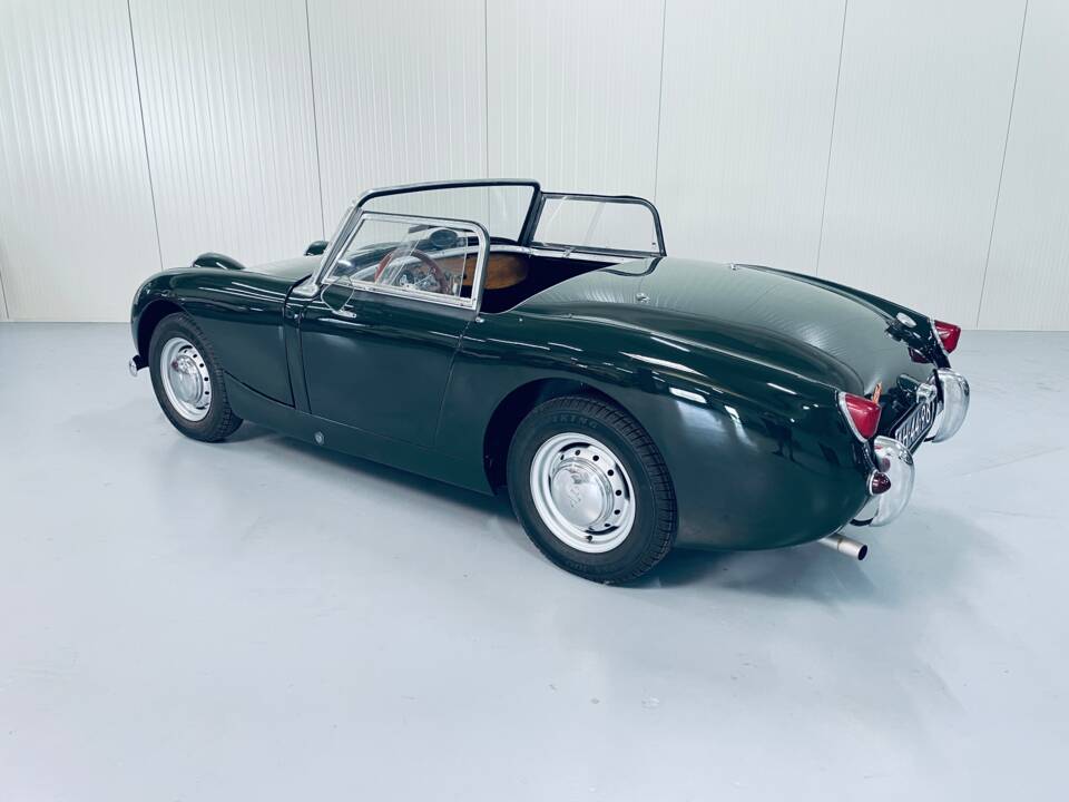 Bild 4/14 von Austin-Healey Sprite Mk I (1960)