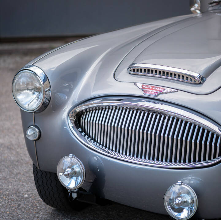 Immagine 2/29 di Austin-Healey 3000 Mk II (BJ7) (1963)