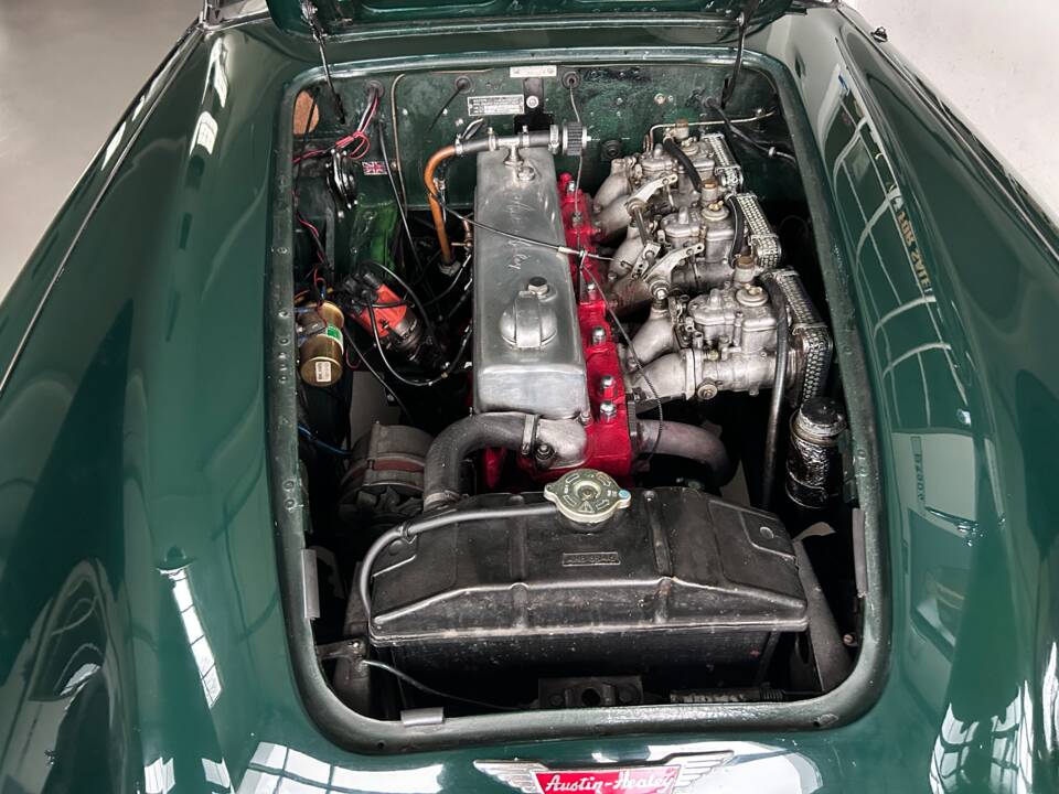 Bild 19/19 von Austin-Healey 3000 Mk II (BJ7) (1963)