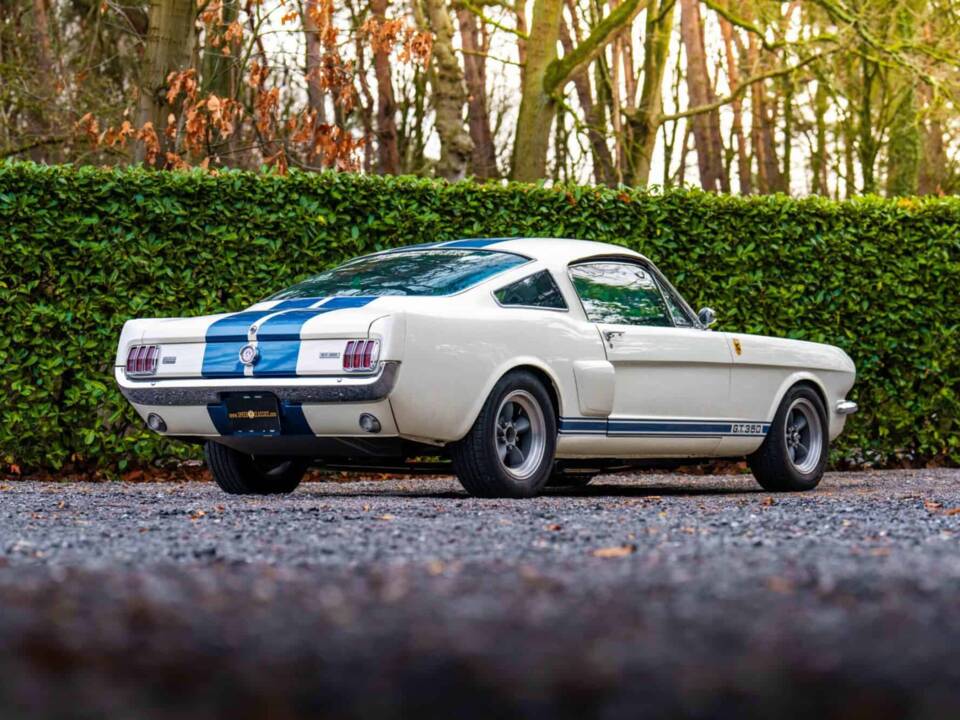 Image 11/27 of Ford Shelby GT 350 (1966)