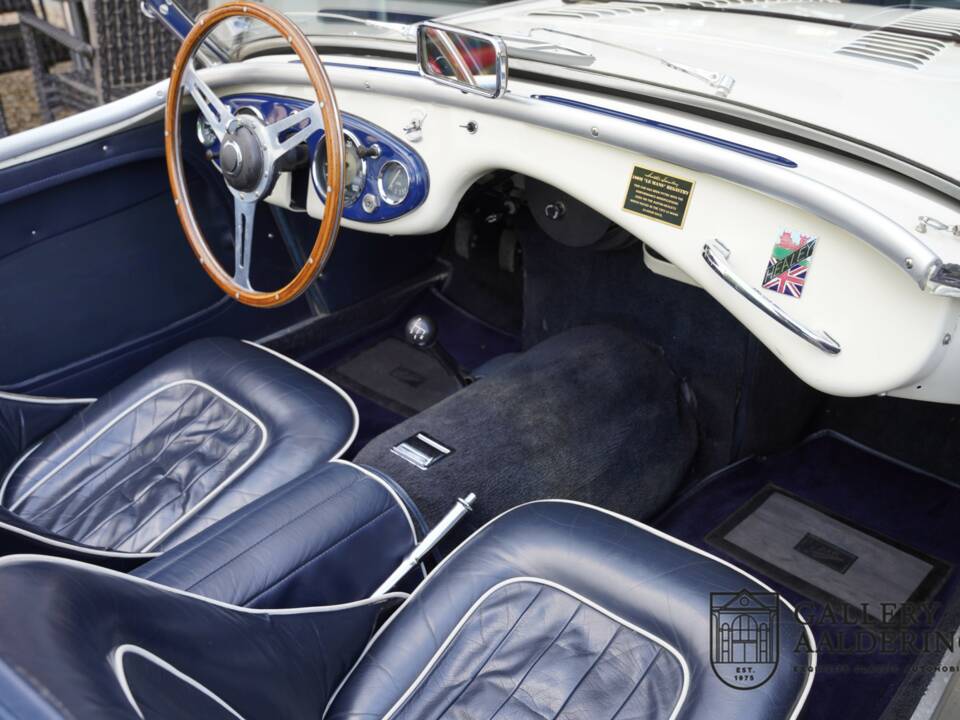 Image 34/50 of Austin-Healey 100/4 (BN1) (1954)