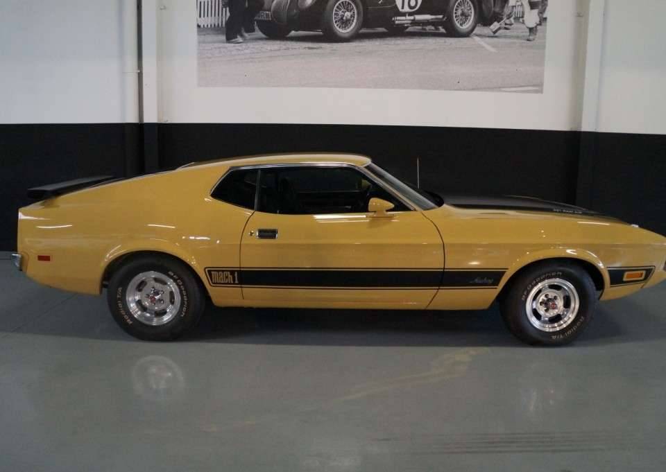 Imagen 3/50 de Ford Mustang Mach 1 (1973)