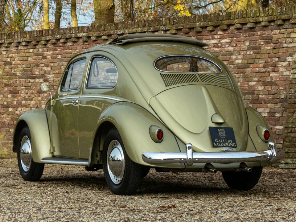 Bild 2/50 von Volkswagen Beetle 1200 Standard "Oval" (1956)