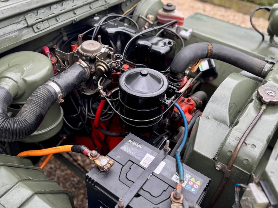 Immagine 16/20 di Jeep Willys-Overland CJ-3A (1950)