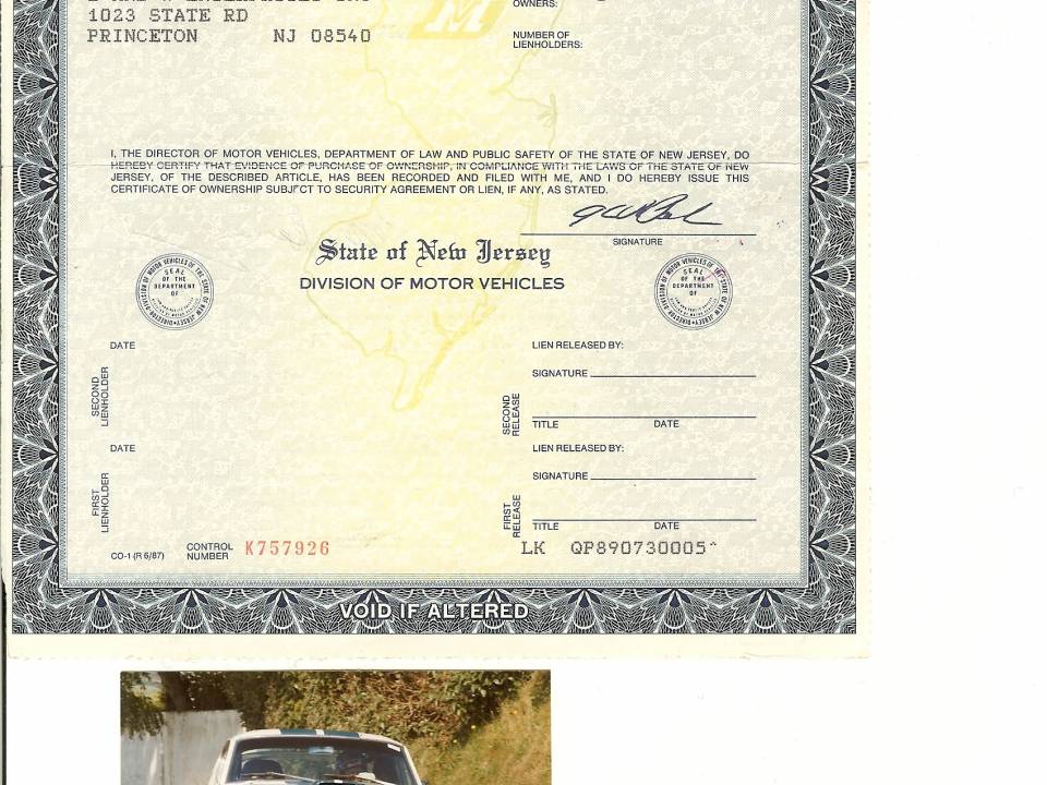 Bild 11/14 von Ford Shelby GT 350 (1966)