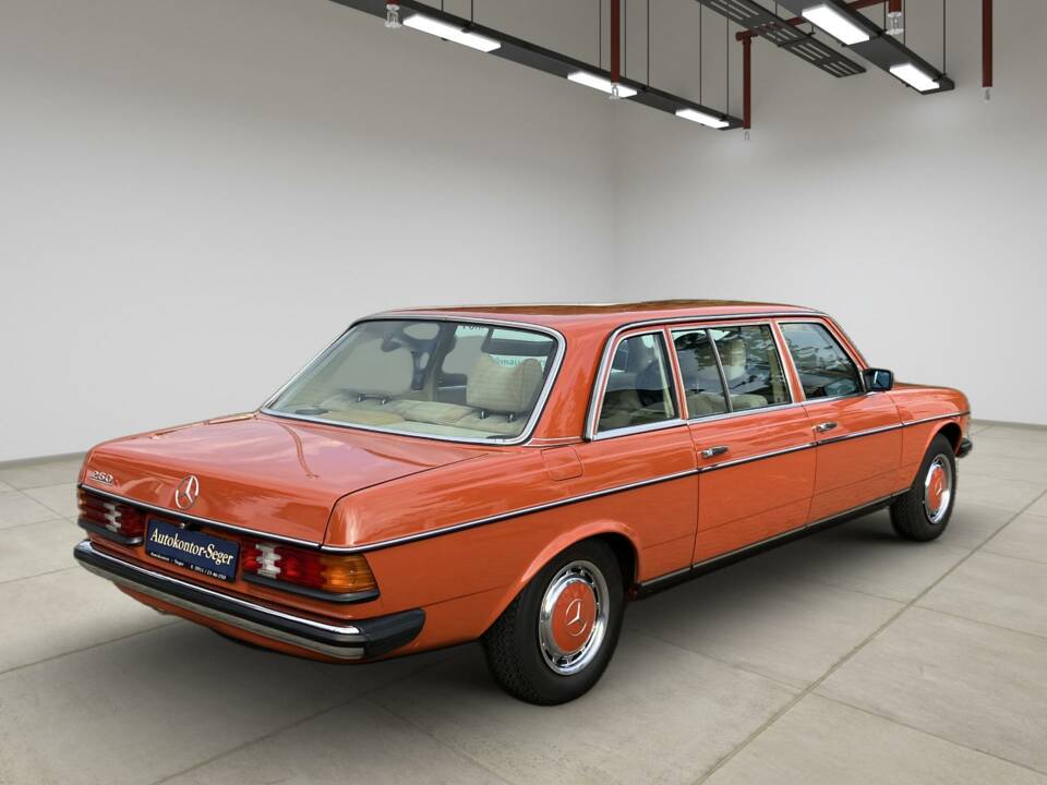 Bild 10/60 von Mercedes-Benz 250 (1978)
