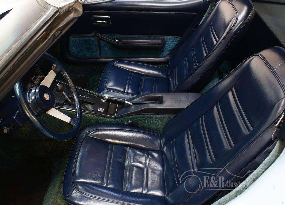 Imagen 16/19 de Chevrolet Corvette Sting Ray (1978)