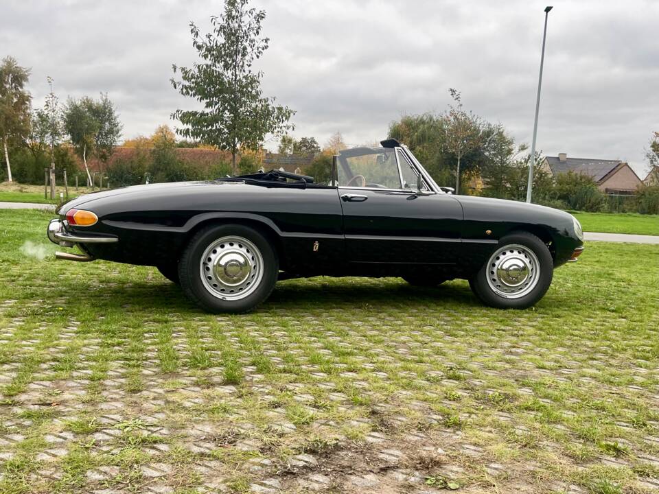 Bild 7/24 von Alfa Romeo 1600 Duetto (1966)