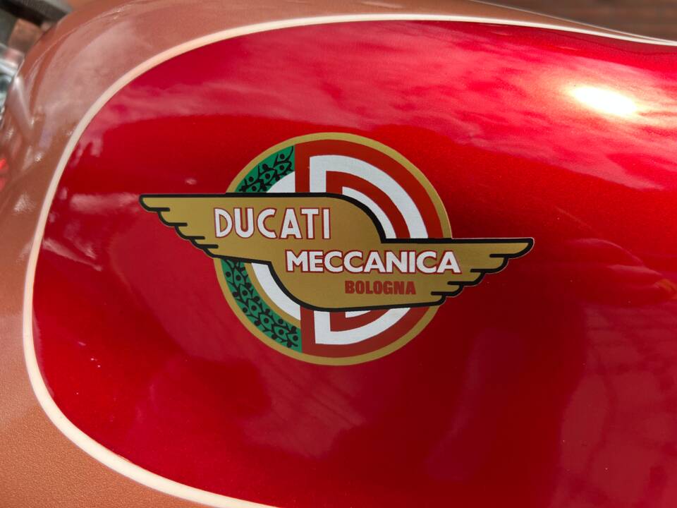 Bild 19/27 von Ducati DUMMY (1959)