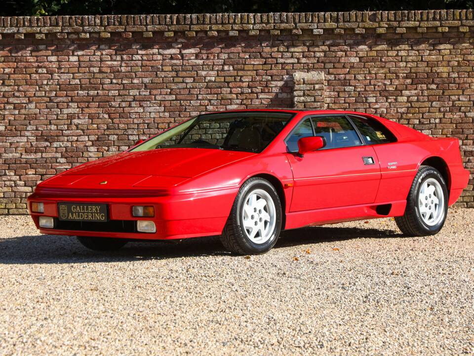 Image 15/50 of Lotus Esprit SE (1992)