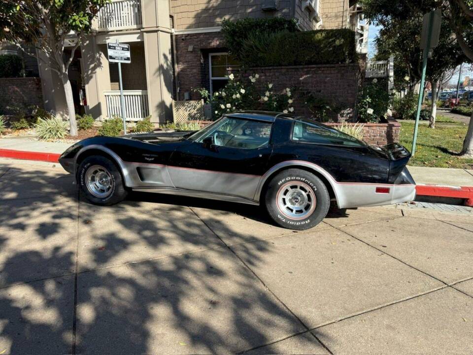 Bild 19/50 von Chevrolet Corvette 25th Anniversary (1978)