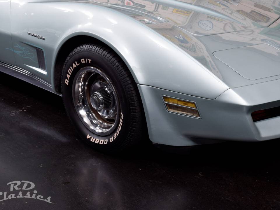 Image 12/45 de Chevrolet Corvette Sting Ray (1982)