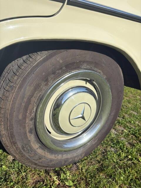 Image 14/52 of Mercedes-Benz 250 SE (1966)