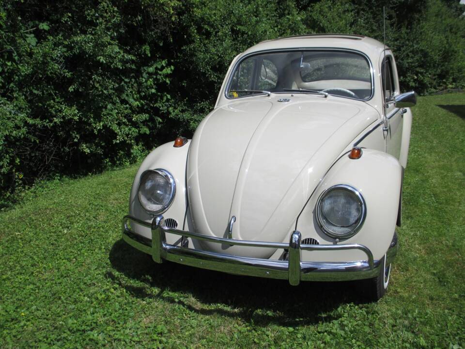 Image 6/39 of Volkswagen Maggiolino 1200 Export "Dickholmer" (1964)