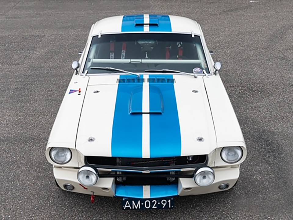 Immagine 4/15 di Ford Shelby GT 350 (1965)