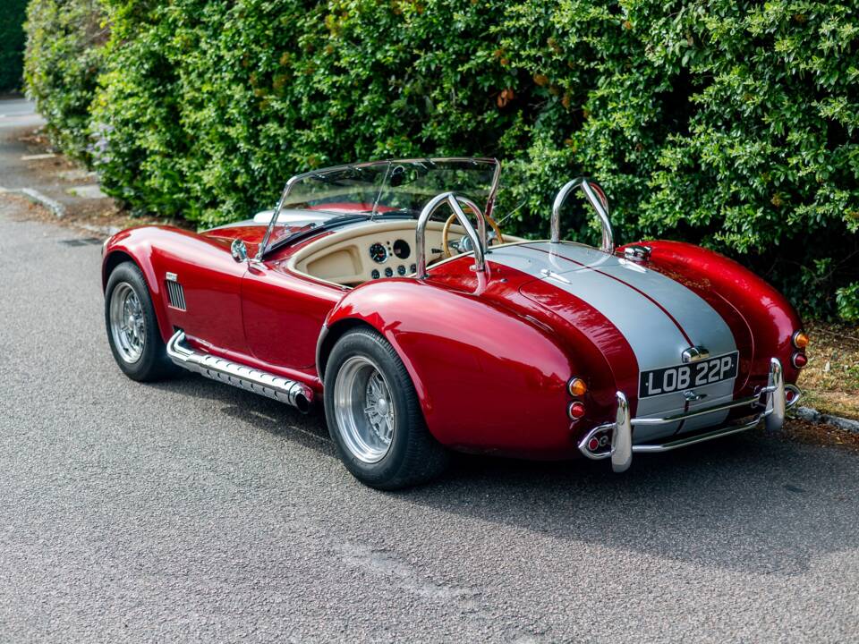 Bild 33/50 von Dax Cobra (1976)