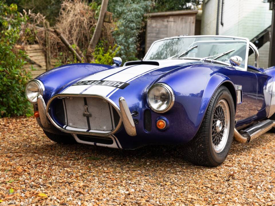 Bild 41/50 von AC Cobra 289 (1997)
