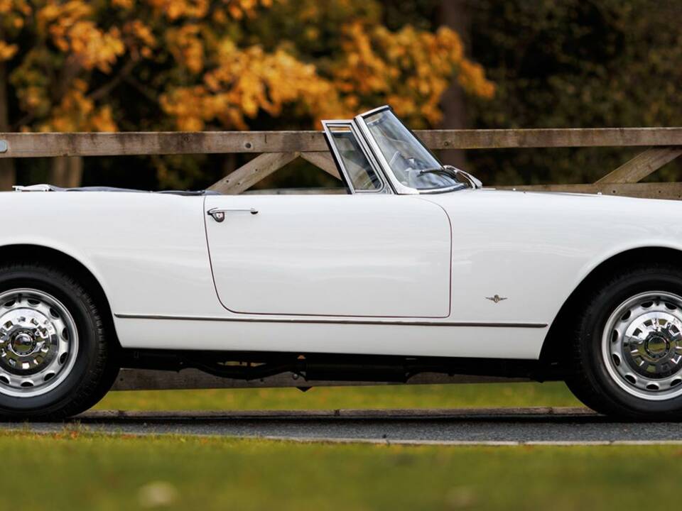 Image 28/50 of Alfa Romeo 2600 Spider (1964)