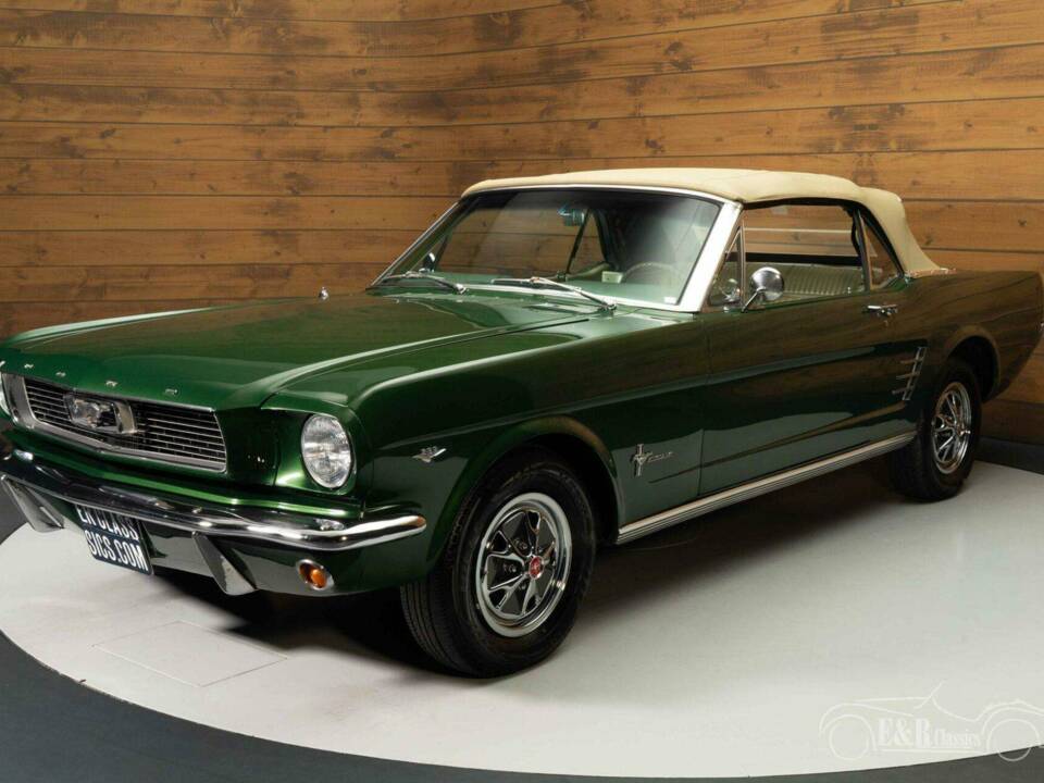 Bild 12/19 von Ford Mustang 289 (1966)