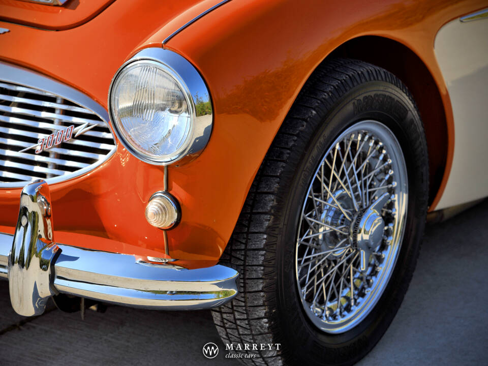 Imagen 11/40 de Austin-Healey 3000 Mk I (BN7) (1959)