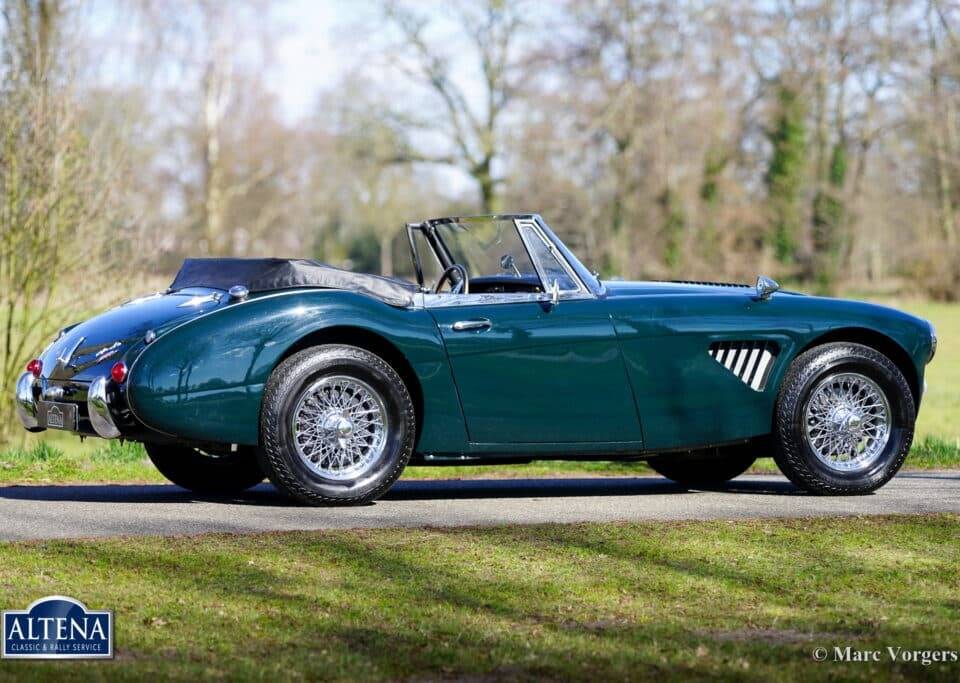 Immagine 9/44 di Austin-Healey 3000 Mk III (BJ8) (1965)