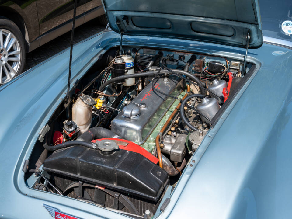Bild 5/16 von Austin-Healey 3000 Mk III (BJ8) (1965)