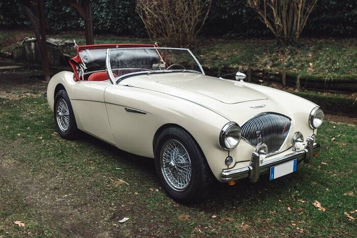 Image 7/7 of Austin-Healey 100&#x2F;4 (BN1) (1954)