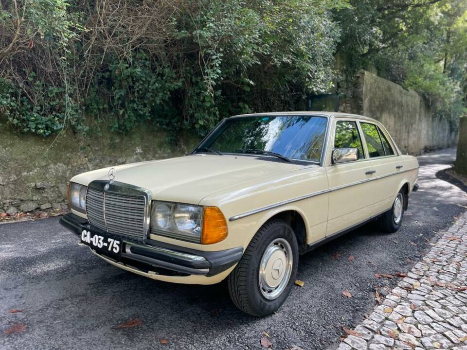Bild 17/73 von Mercedes-Benz 300 D (1977)