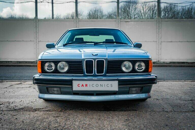 Imagen 10/61 de BMW 635 CSi (1989)