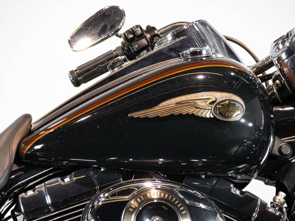 Bild 12/50 von Harley-Davidson DUMMY (2013)