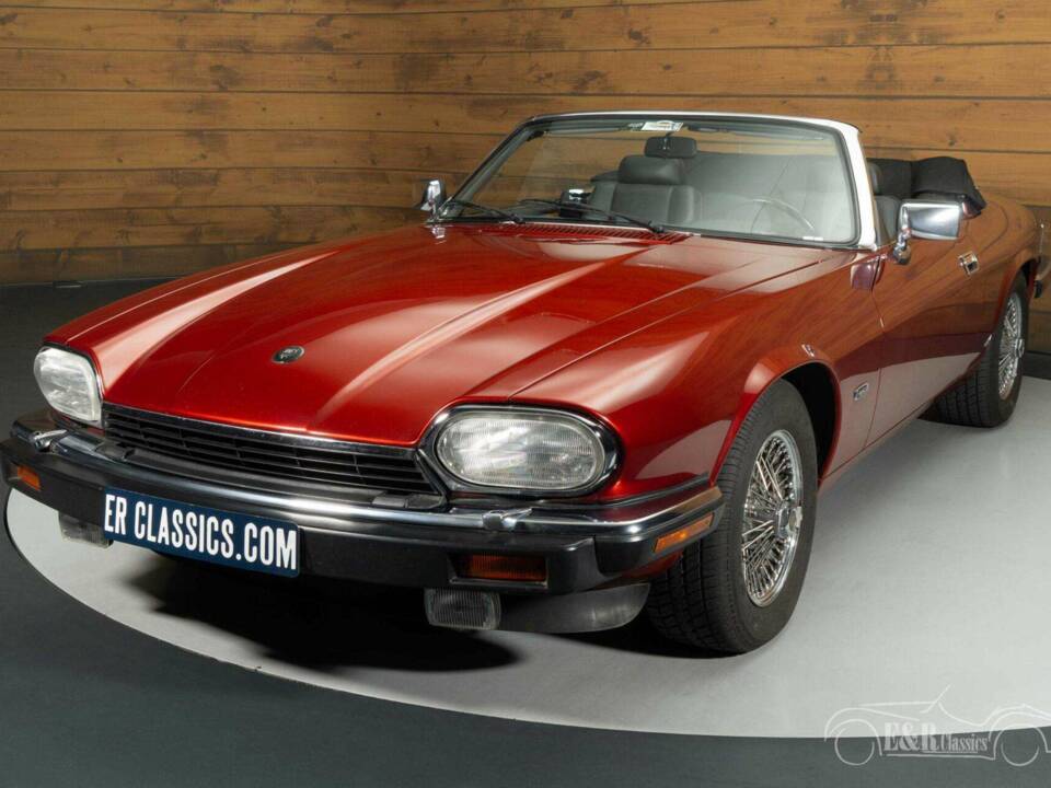 Bild 4/19 von Jaguar XJS 5.3 V12 (1992)