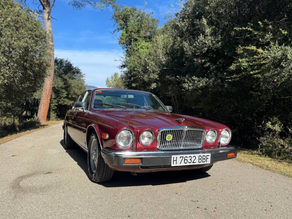 Immagine 40/41 di Jaguar XJ 12 (1990)