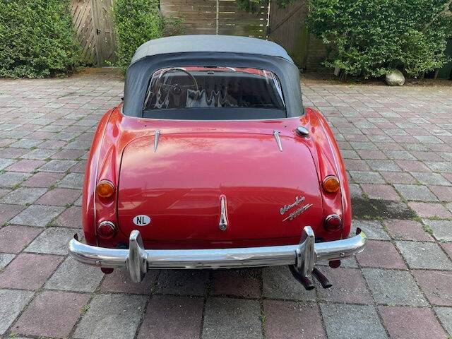 Bild 3/6 von Austin-Healey 3000 Mk III (BJ8) (1967)