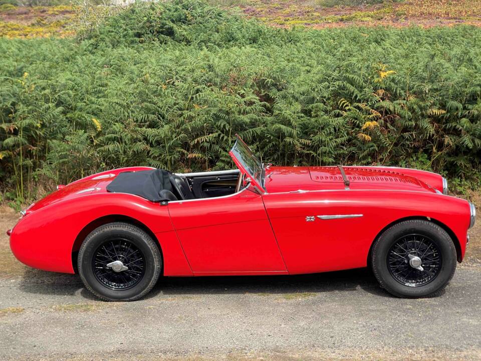 Image 2/12 of Austin-Healey 100/4 (BN1) (1955)