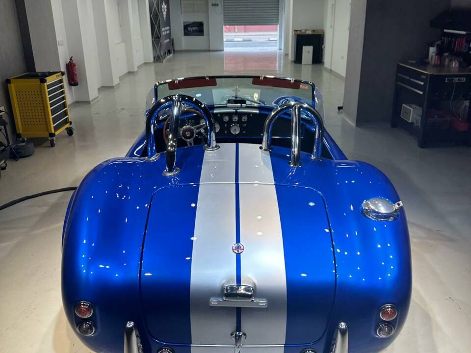 Image 6/18 of AC Cobra (2011)