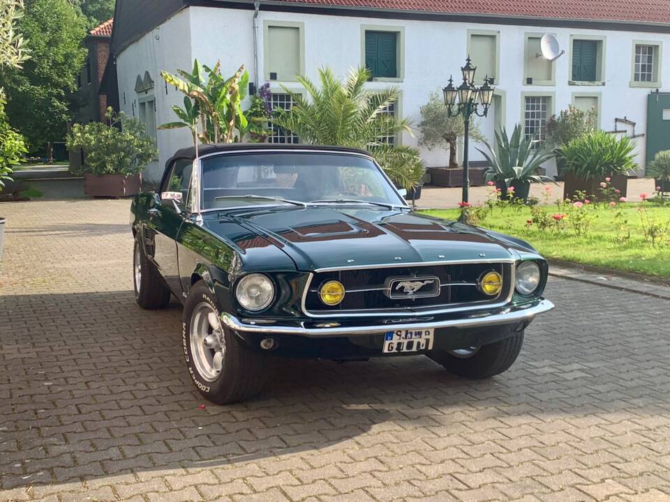 Immagine 13/16 di Ford Mustang 302 (1967)