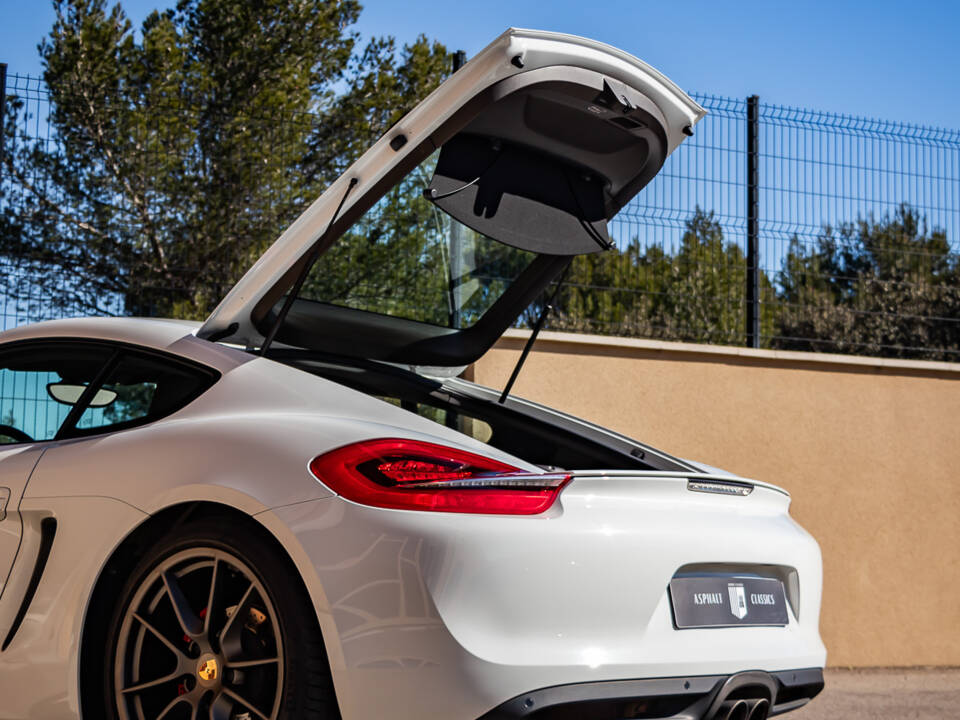 Image 39/50 of Porsche Cayman S (2013)