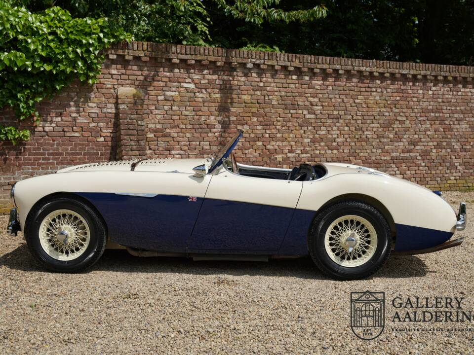 Immagine 35/50 di Austin-Healey 100/4 (BN1) (1954)