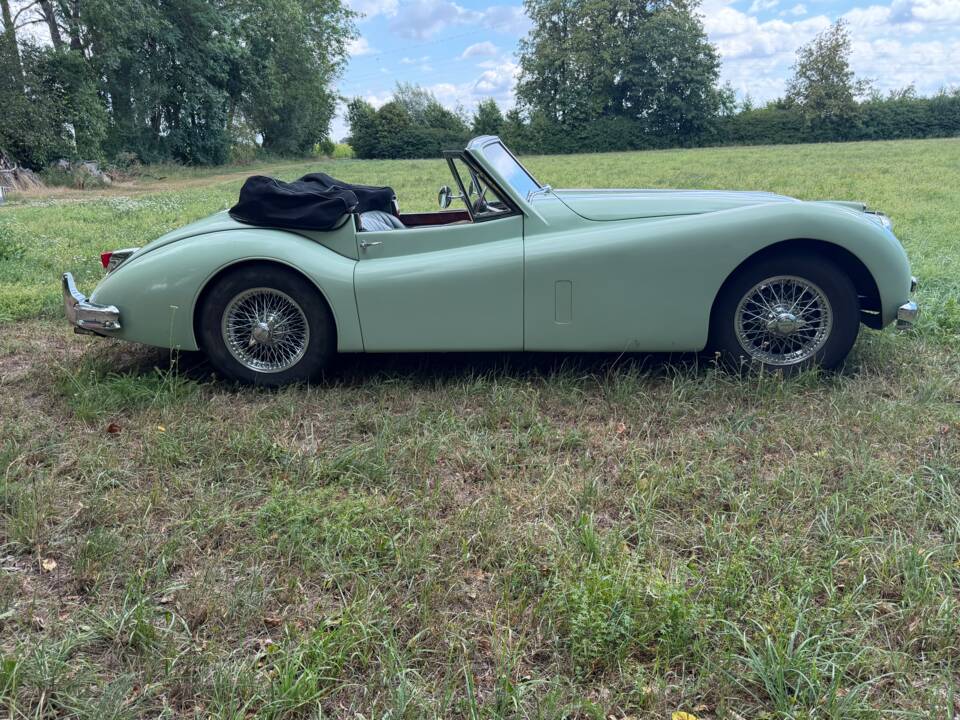 Image 3/23 of Jaguar XK 140 SE DHC (1955)
