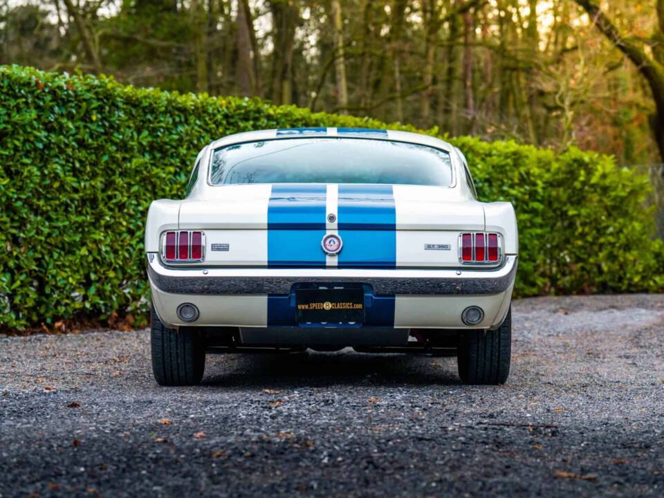 Image 9/27 of Ford Shelby GT 350 (1966)