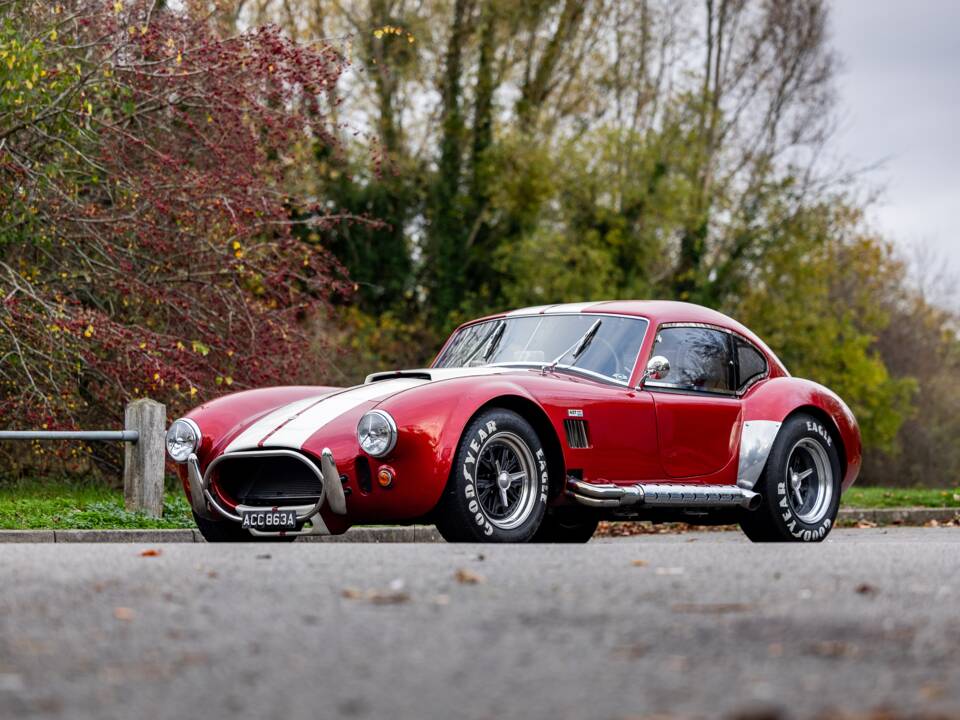 Afbeelding 12/50 van AC Cobra 289 (2000)