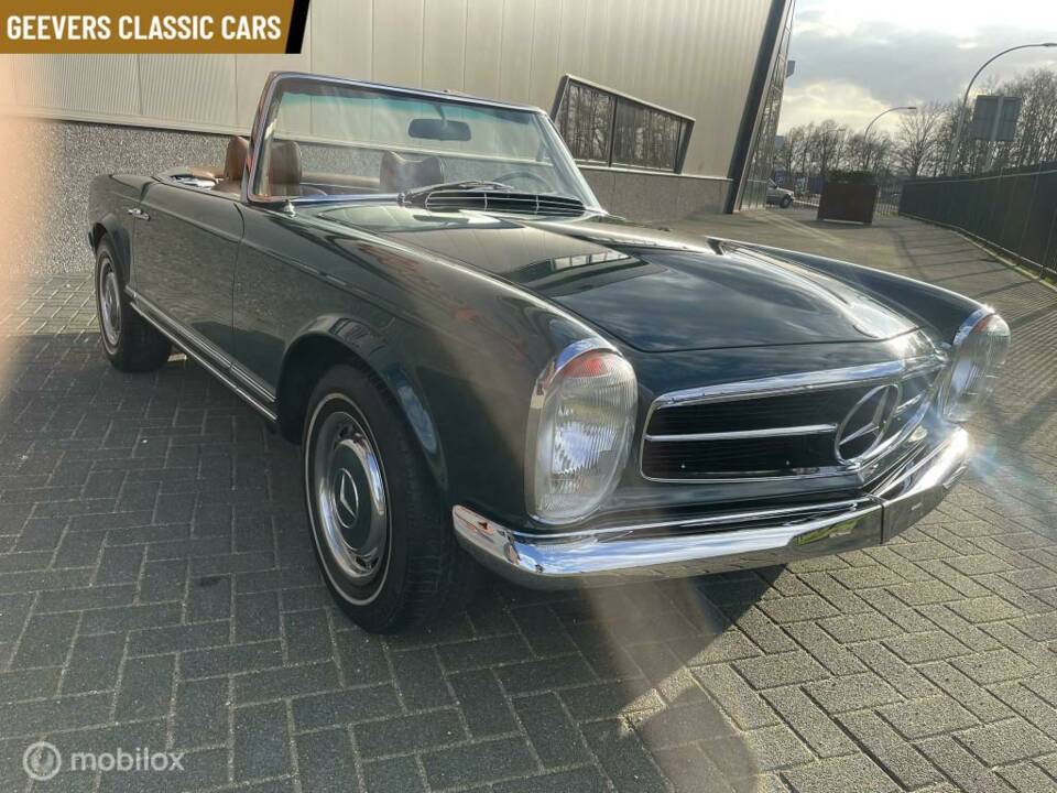 Immagine 7/45 di Mercedes-Benz 280 SL (1970)