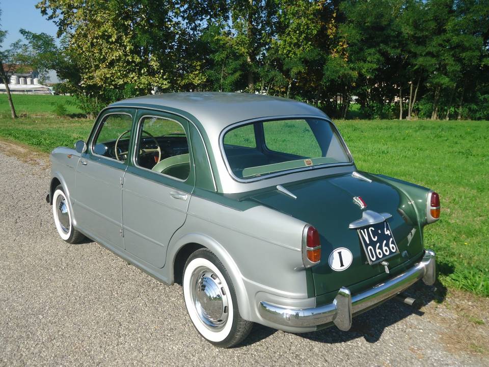 Image 20/50 of FIAT 1100-103 Vignale (1956)