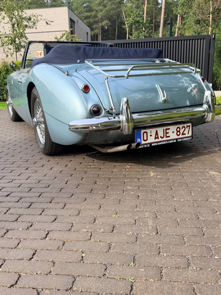 Afbeelding 3/21 van Austin-Healey 3000 Mk II (BJ7) (1963)