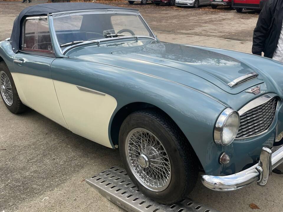 Bild 2/12 von Austin-Healey 3000 Mk I (BN7) (1961)