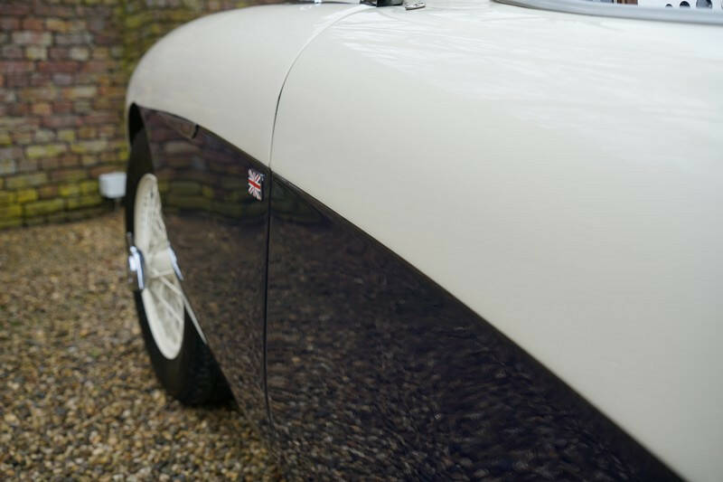 Image 42/50 of Austin-Healey 100&#x2F;4 (BN1) (1955)