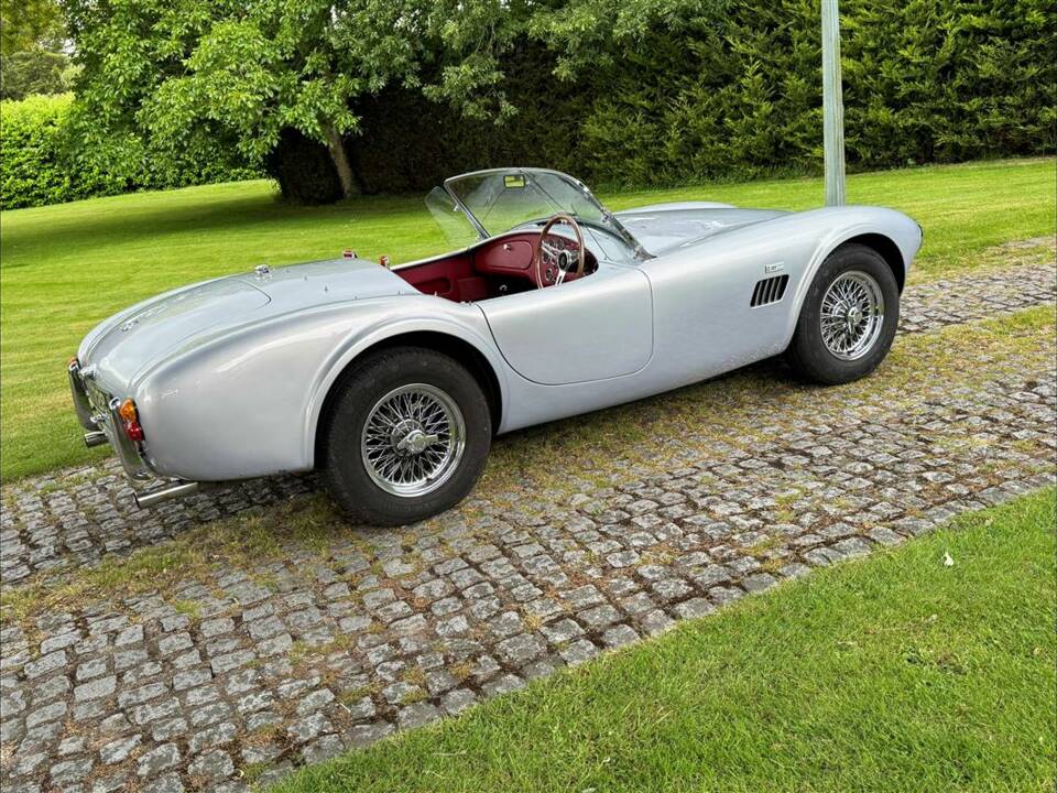 Bild 10/24 von AC Cobra 289 (2001)