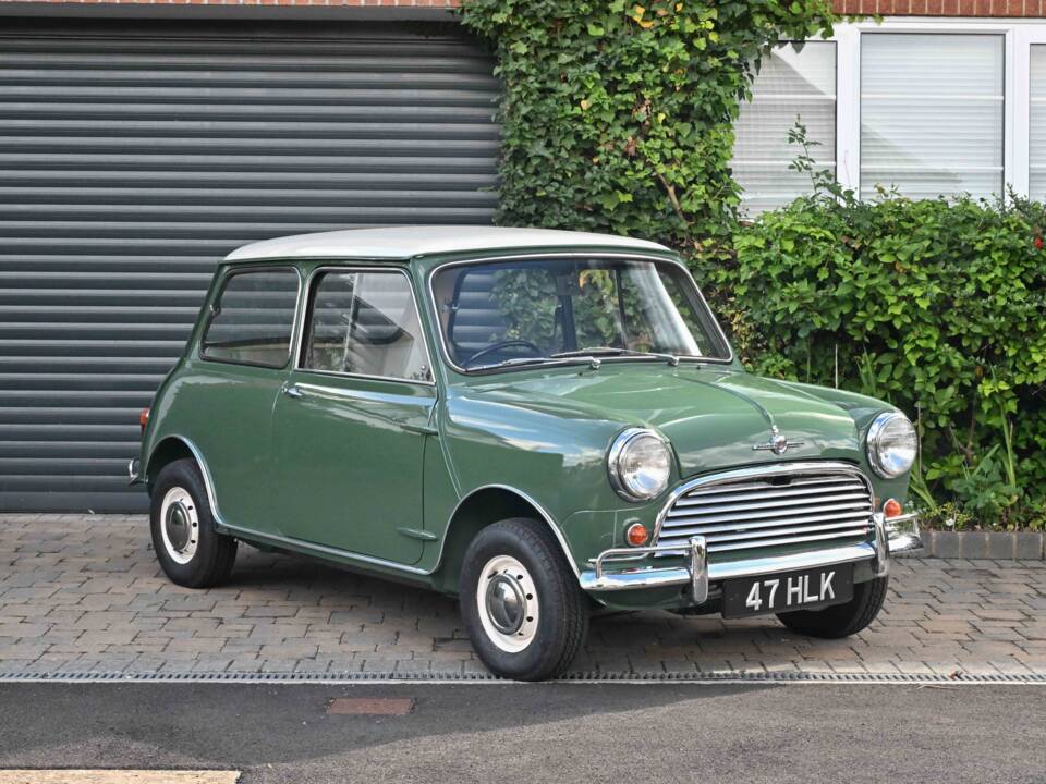 Bild 1/41 von Morris Mini Cooper S 1071 (1964)
