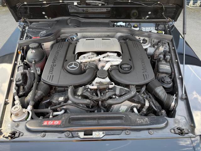 Image 17/24 of Mercedes-Benz G 500 (LWB) (2016)